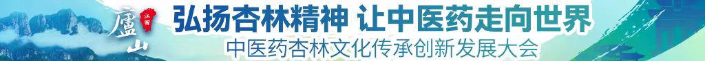 大鸡也插BB中医药杏林文化传承创新发展大会